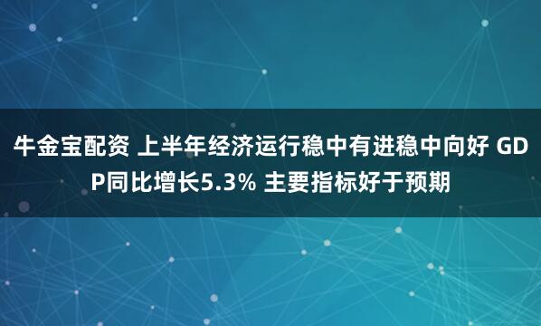 牛金宝配资 上半年经济运行稳中有进稳中向好 GDP同比增长5.3% 主要指标好于预期