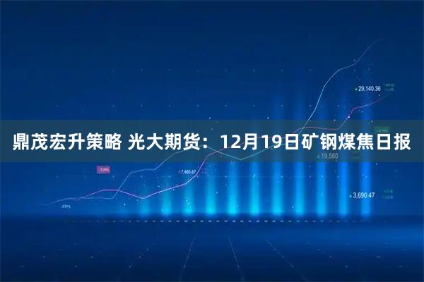 鼎茂宏升策略 光大期货：12月19日矿钢煤焦日报